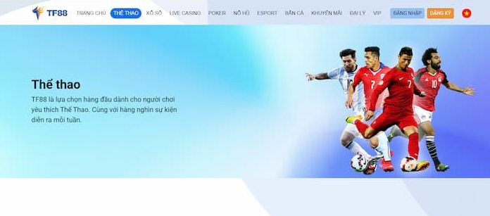 Cá cược thể thao tại TF88 rất hấp dẫn