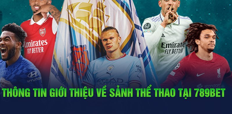Thông tin giới thiệu về sảnh thể thao tại 789Bet